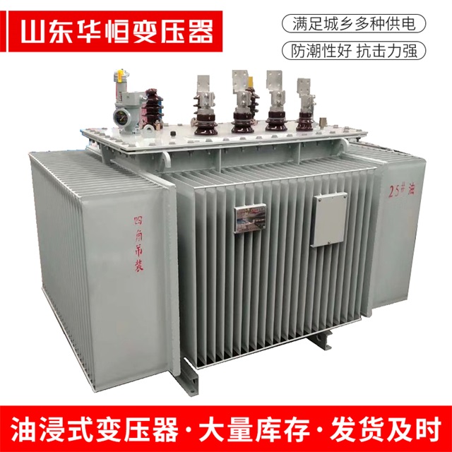 S13-10000/35麻栗坡麻栗坡麻栗坡电力变压器厂家